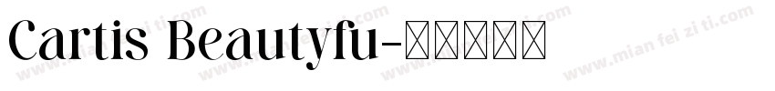 Cartis Beautyfu字体转换